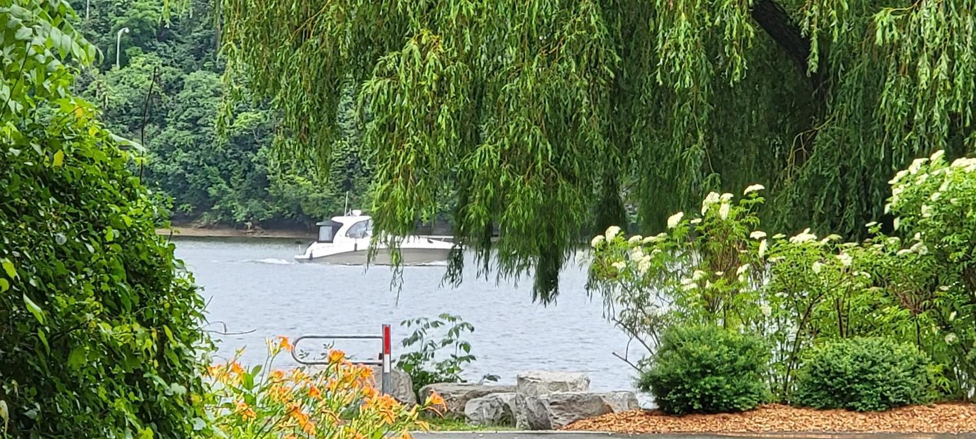 Kokomo Inn Bed And Breakfast Ottawa-Gatineau'S Only Tropical Riverfront B&B On The National Capital Cycling Pathway Route Verte #1 - For Adults Only - Chambre D'Hotes Tropical Aux Berges Des Outaouais Bnb #17542O Luaran gambar