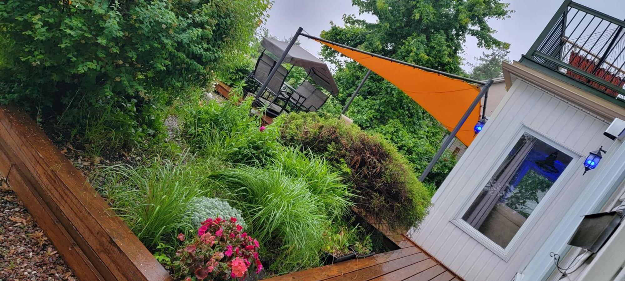 Kokomo Inn Bed And Breakfast Ottawa-Gatineau'S Only Tropical Riverfront B&B On The National Capital Cycling Pathway Route Verte #1 - For Adults Only - Chambre D'Hotes Tropical Aux Berges Des Outaouais Bnb #17542O Luaran gambar